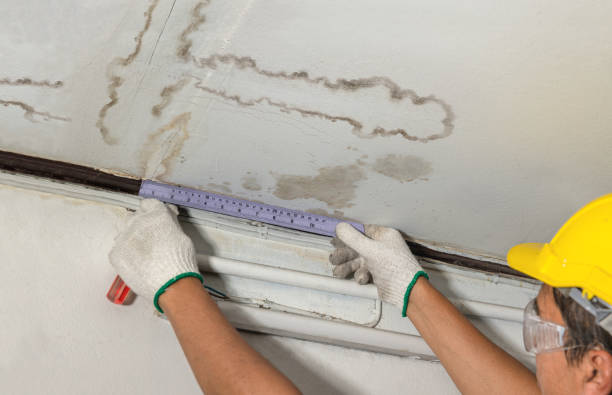 Reliable Sewage Cleanup contractor in Fostoria, MI by Water Damage Irwin